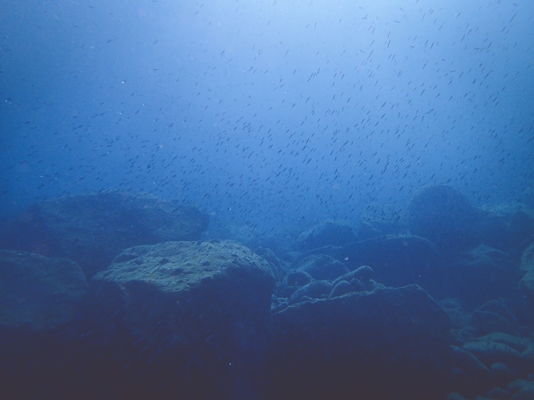 Okyanusun Yeni Paradoksu: Boş Petrol Kuyuları Karbonun Kurtarıcısı Olabilir mi?